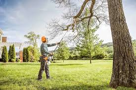 Tompkinsville, KY Tree Services Company