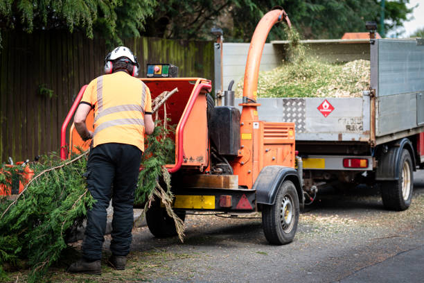 Best Aeration Services  in Tompkinsville, KY