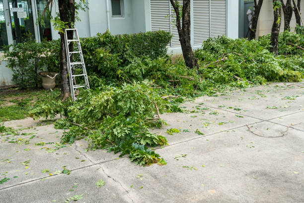 Best Lawn Pest Prevention  in Tompkinsville, KY